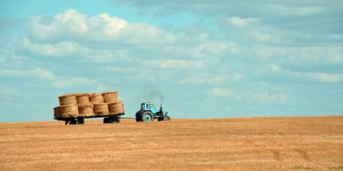 Livro caixa produtor rural